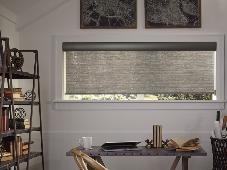 Contemporary Window Treatments gray Stoneside roller shades in a home office