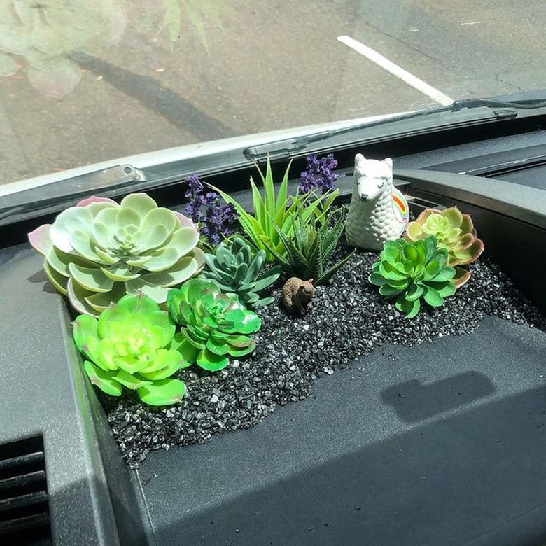 interior of car with garden area