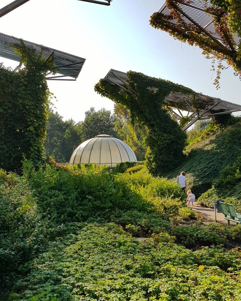 picture of the rooftop garden at the warsaw university library in poland