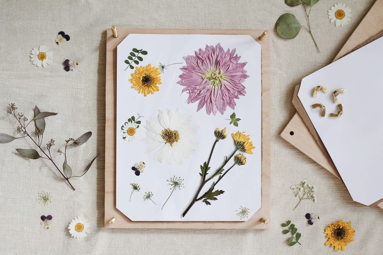 DIY flower press that's open with various pressed flowers on top