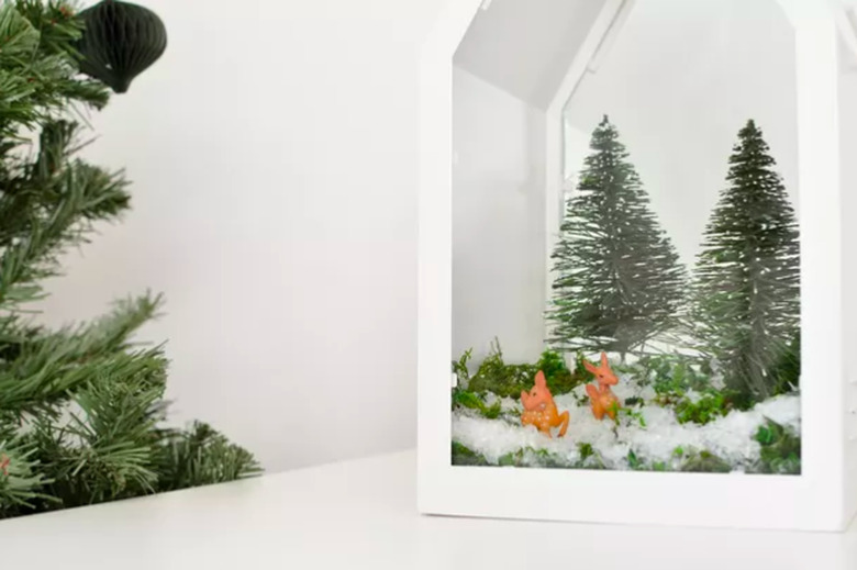 Holiday terrarium in a lantern