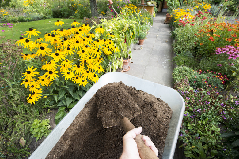 Compost soil