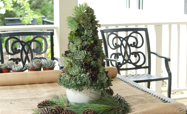 Petite succulent DIY Christmas tree idea on table