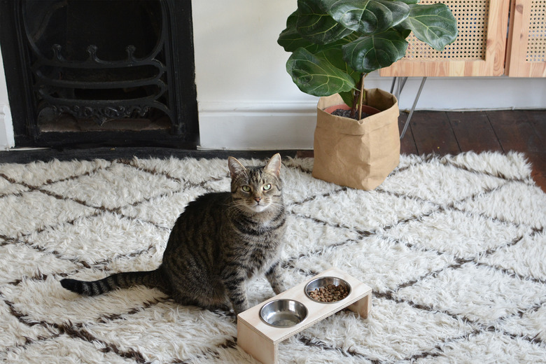 DIY Modern Cat Feeding Station