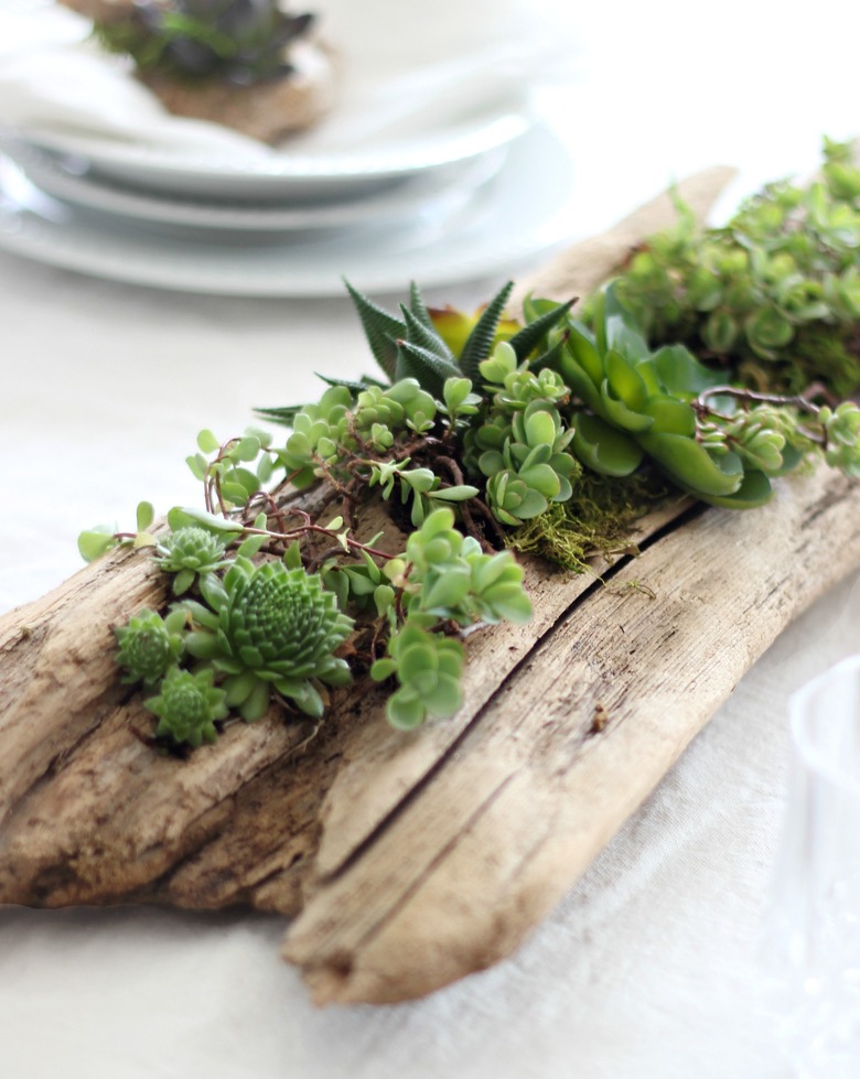 Driftwood planter centerpiece