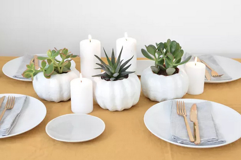 White Scandinavian-style pumpkins holding succulents