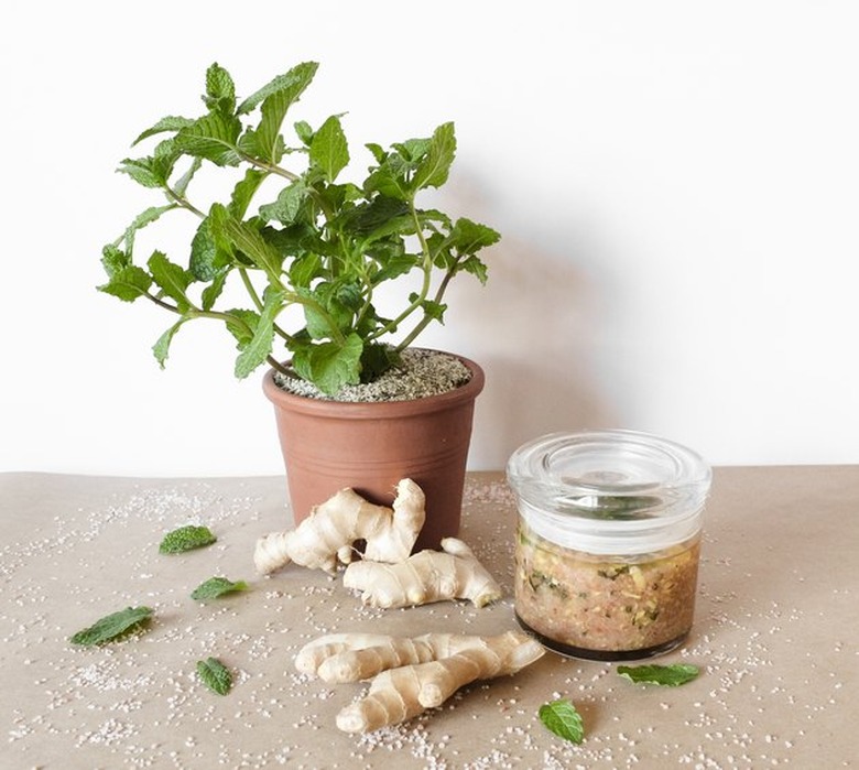 DIY mint and ginger body scrub