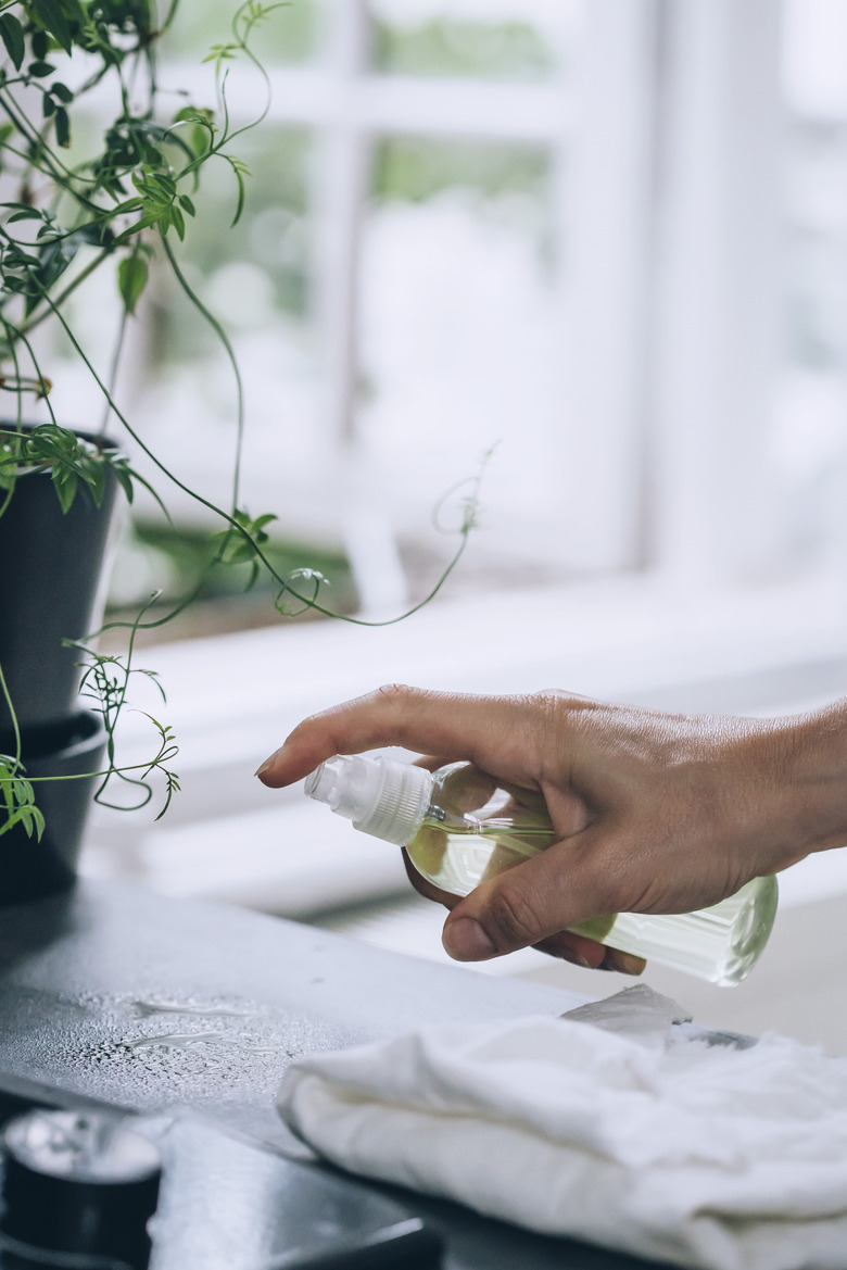 DIY Spray Using Vinegar and Water