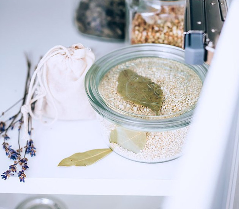 Bay Leaves in Pantry Container to Keep Bugs Away