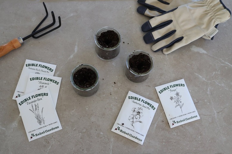 Packets of edible flower seeds and pots willed with soil