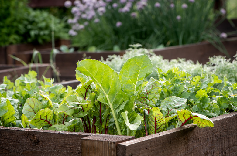 Gardening