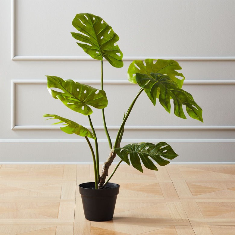 faux monstera plant in black pot on hardwood floor