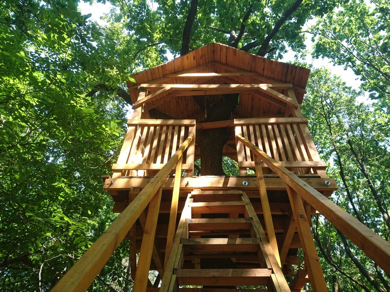 Treehouse in the forest