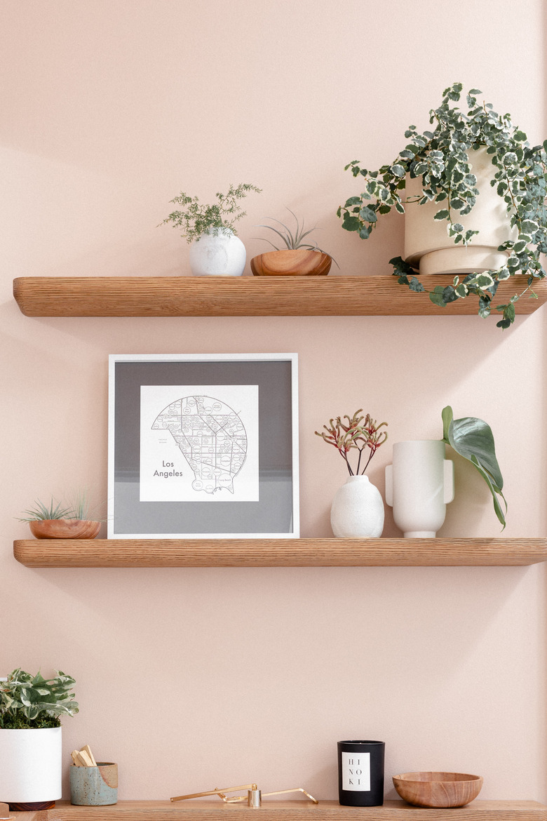 shelves with potted plants, pink background, carefully arranged