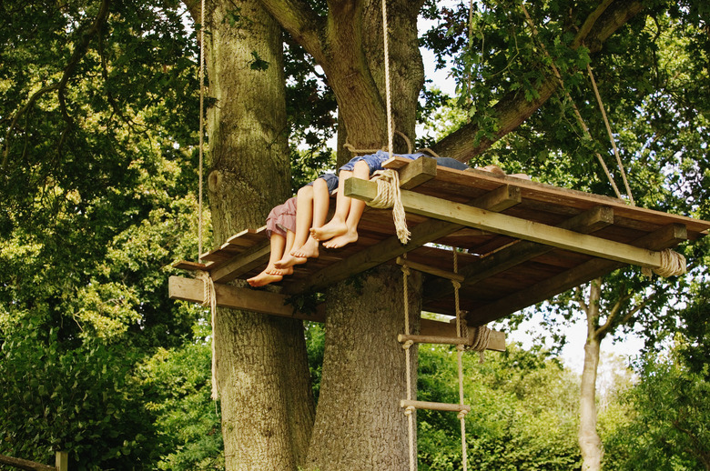 Three children (9-12) in treehouse, low section, low angle view