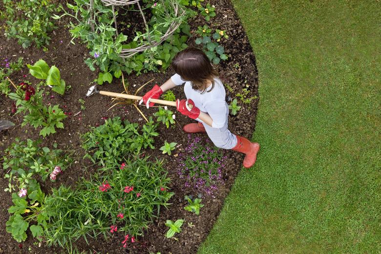 Woman weeding a garden bed with a hoe.