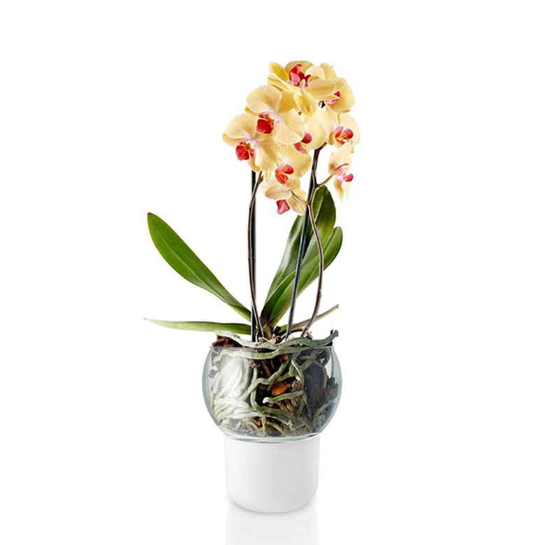 Eva Solo Self-Watering Orchid Pot