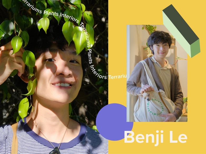 A split-screen image of home and plant influencer Benji Le over a bright yellow background with geometric shapes.