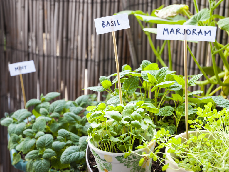 Herb garden on a balcony