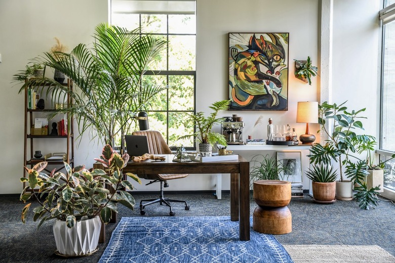 bohemian home office filled with plants