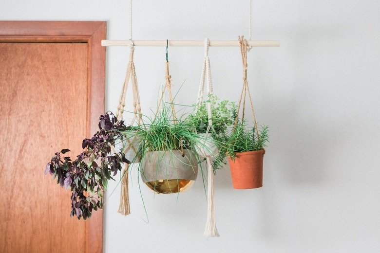 Hanging herb plants with rope and and wood dowel by door