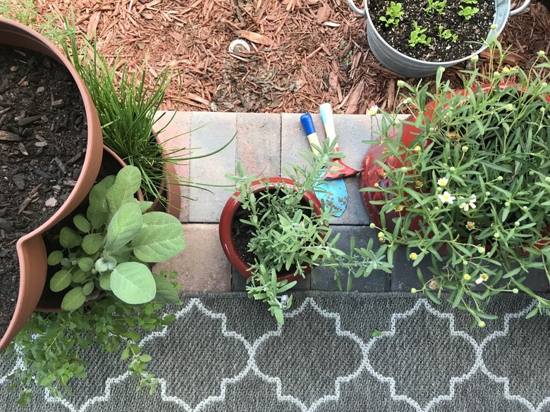 Patio container garden