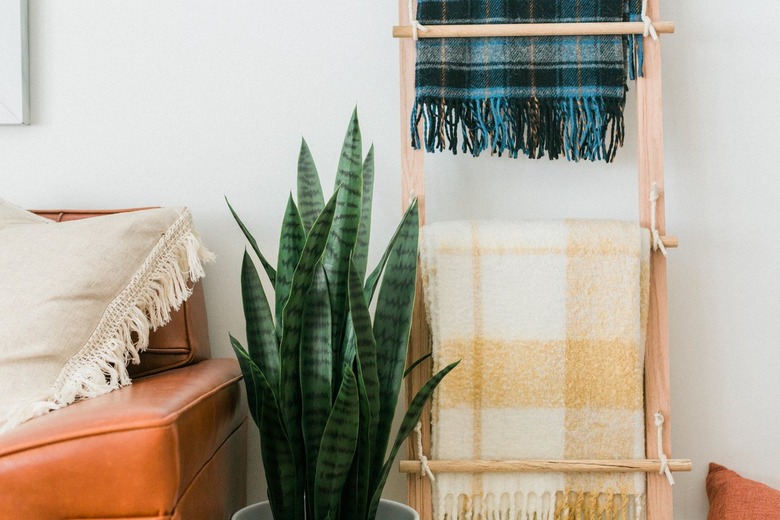 Wood ladder with plaid blankets with plant and leather sofa