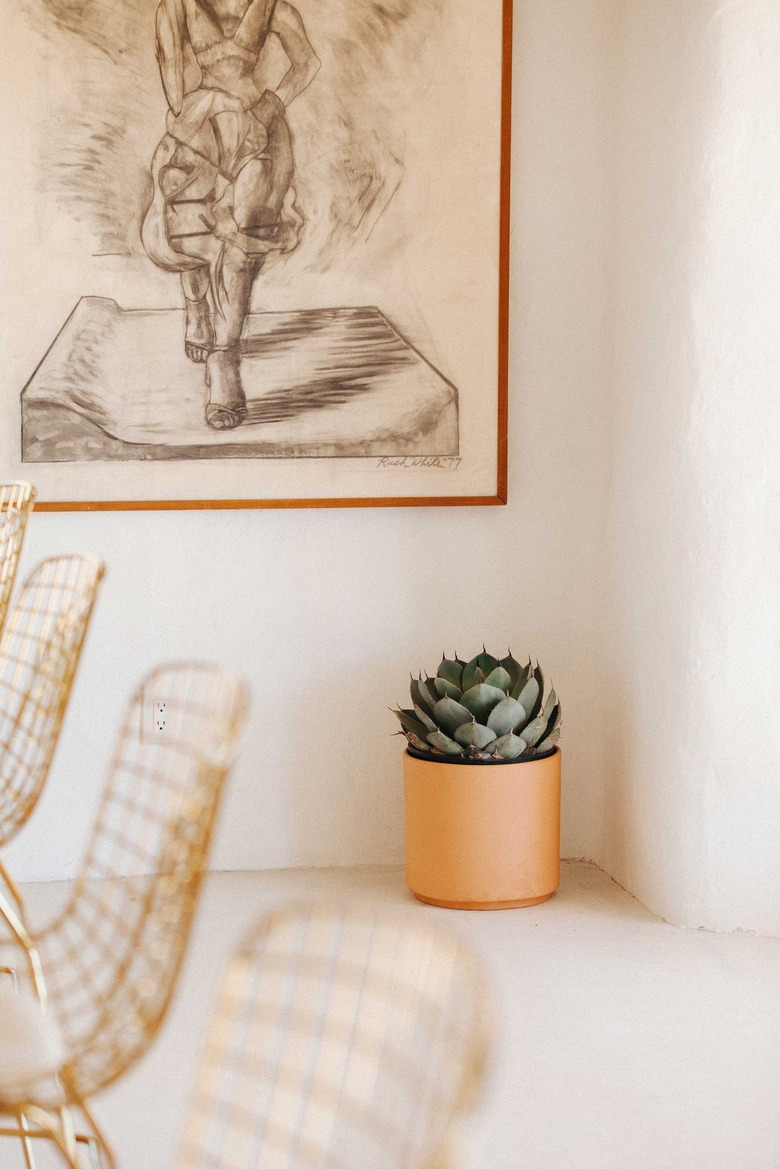 a potted succulent provides color in a clean white room