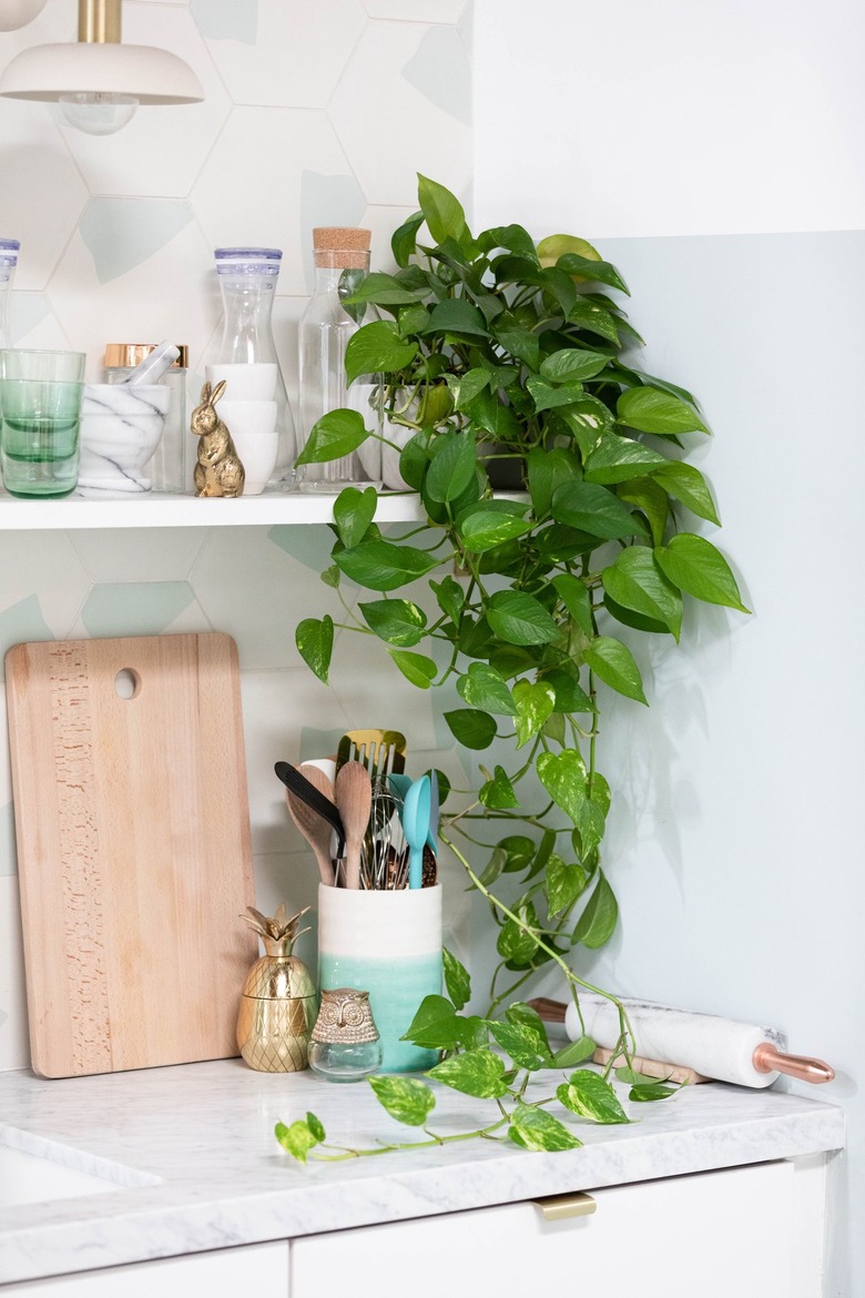 White shelf with Pothos plant, containers, gold bunny figurine. Counter kitchen wares, and a blue-white hexagon backsplash.