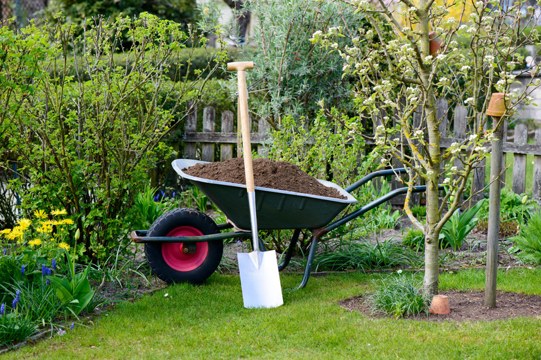 Wheelbarrow with compost