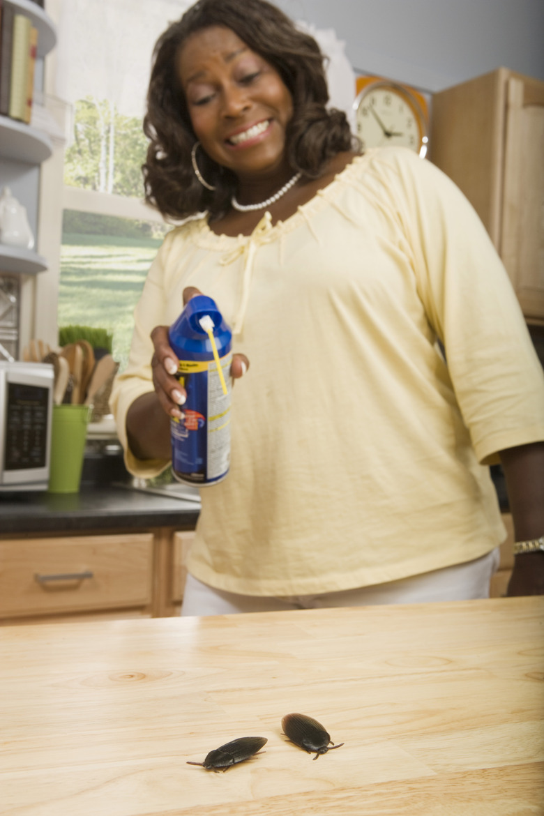 Woman spraying pesticide on cockroaches in kitchen