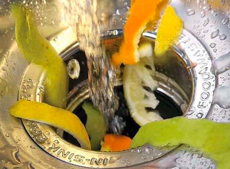 Fruit in the garbage disposal.