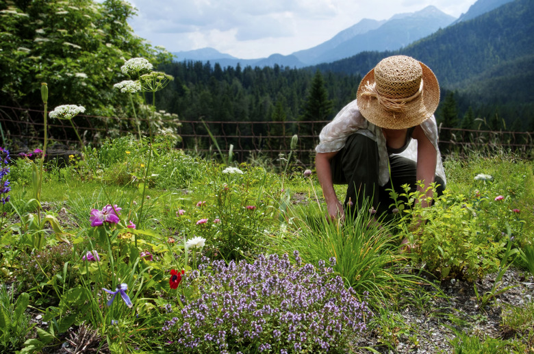 Gardening