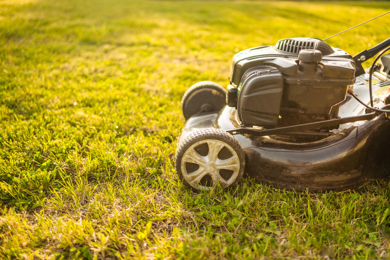 Lawn mower cutting green grass