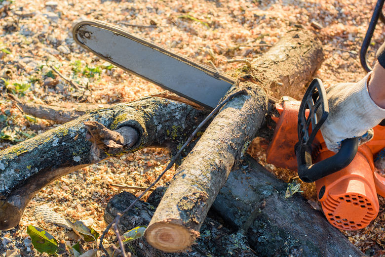 Man saws trees for firewood with an electric chain saw, close-up