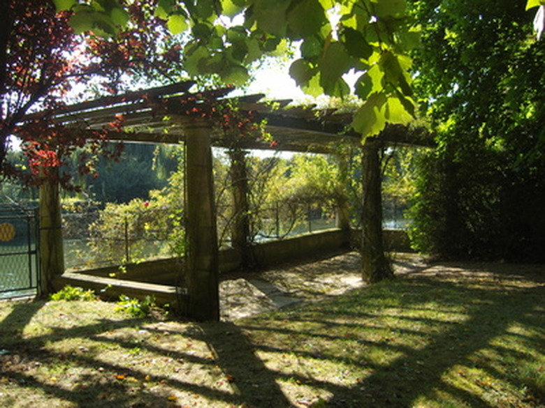 How To Build A Grape Arbor Arch Trellis With A Pergola Design