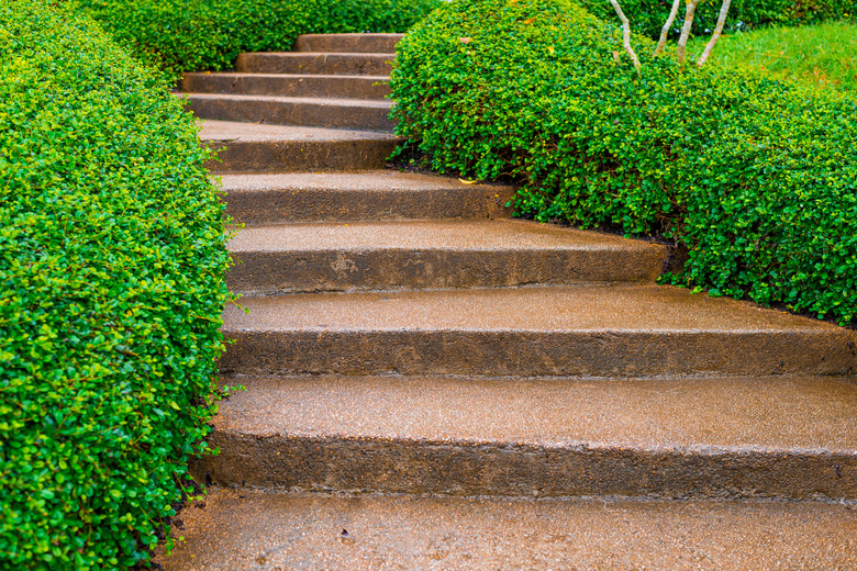 Step of Brown small stone and concrete stair with green plant beside the walk way of stair