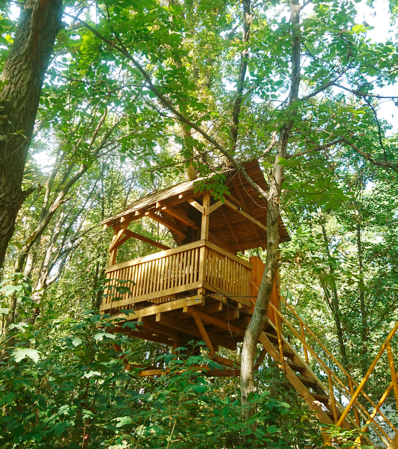 Treehouse in the summer forest.  Trees with green leaves.