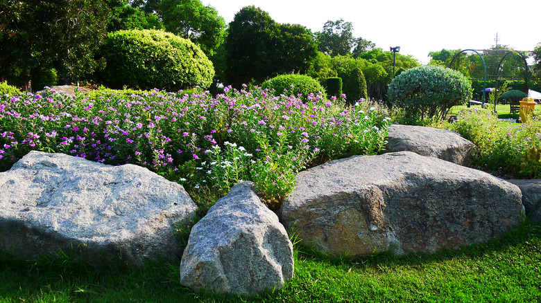 Suan Luang Rama IX Public Park