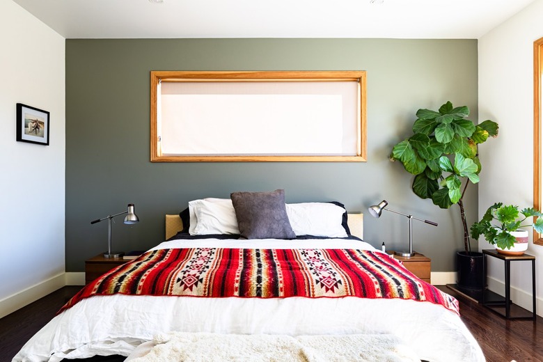 color scheme in bedroom with a large plant, wood framed windows and white-green walls