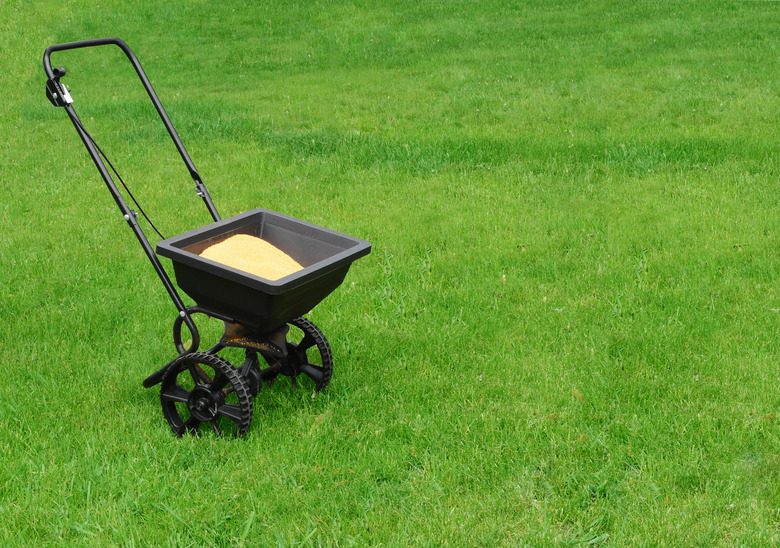 Lawn seed spreader in middle of bright green lawn