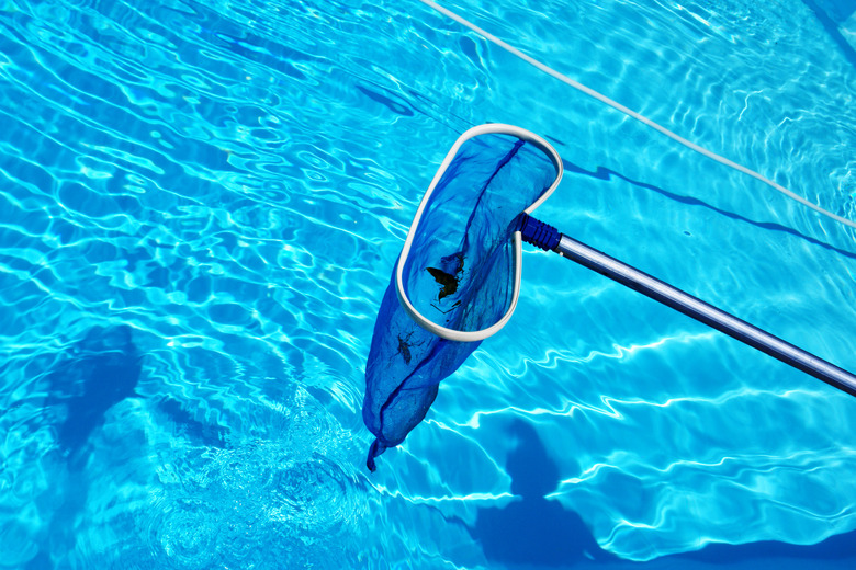 A pool skimmer.