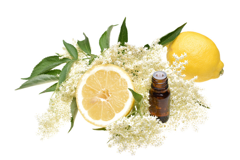 Elderflower, elderflower oil with lemon and leaves isolated on white background