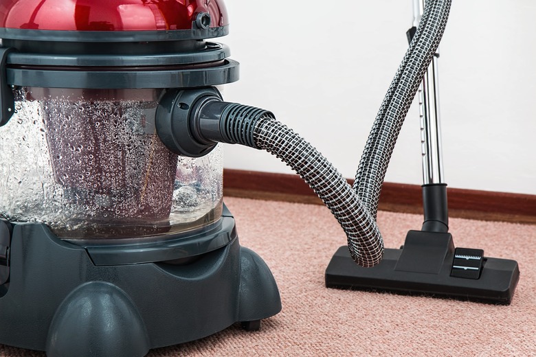 Vacuum and clean carpet.