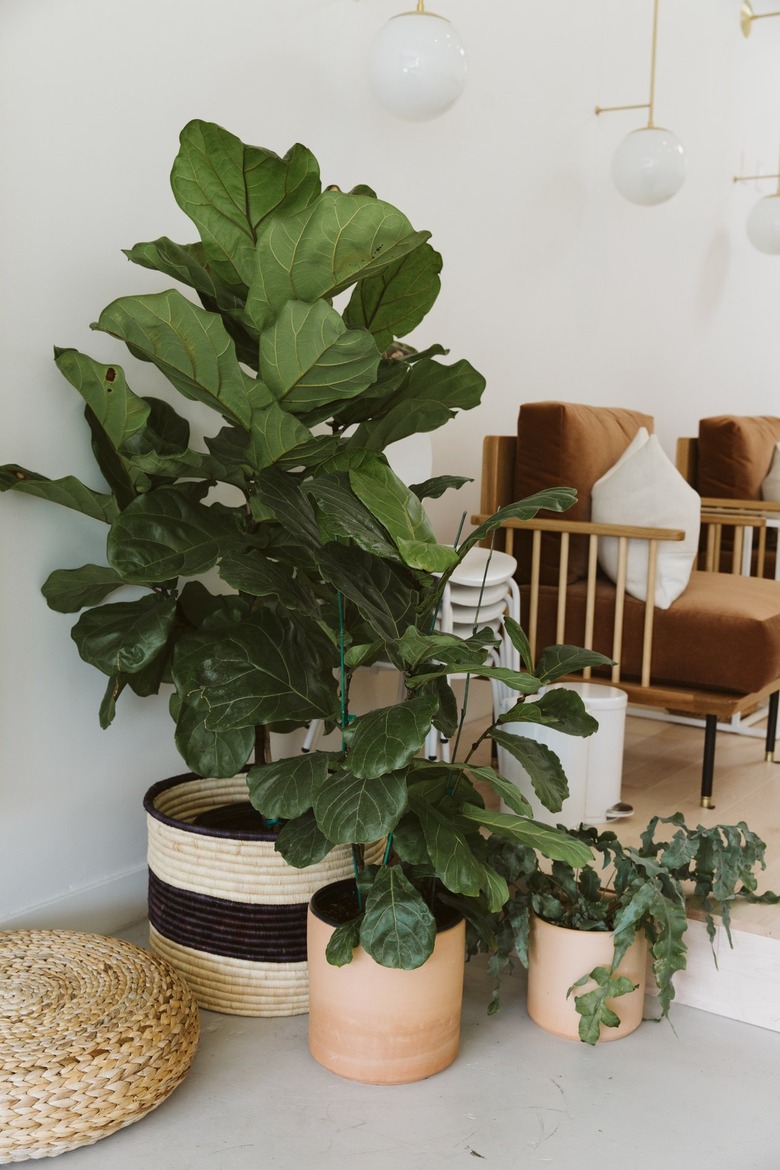 Plants in woven baskets, and globe sconces. Wood chair with brown upholstery and a white pillow.