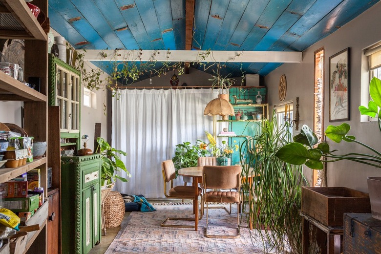 colorful room with blue ceiling and house plants