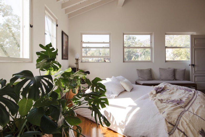 Room with windows and plants white bedding