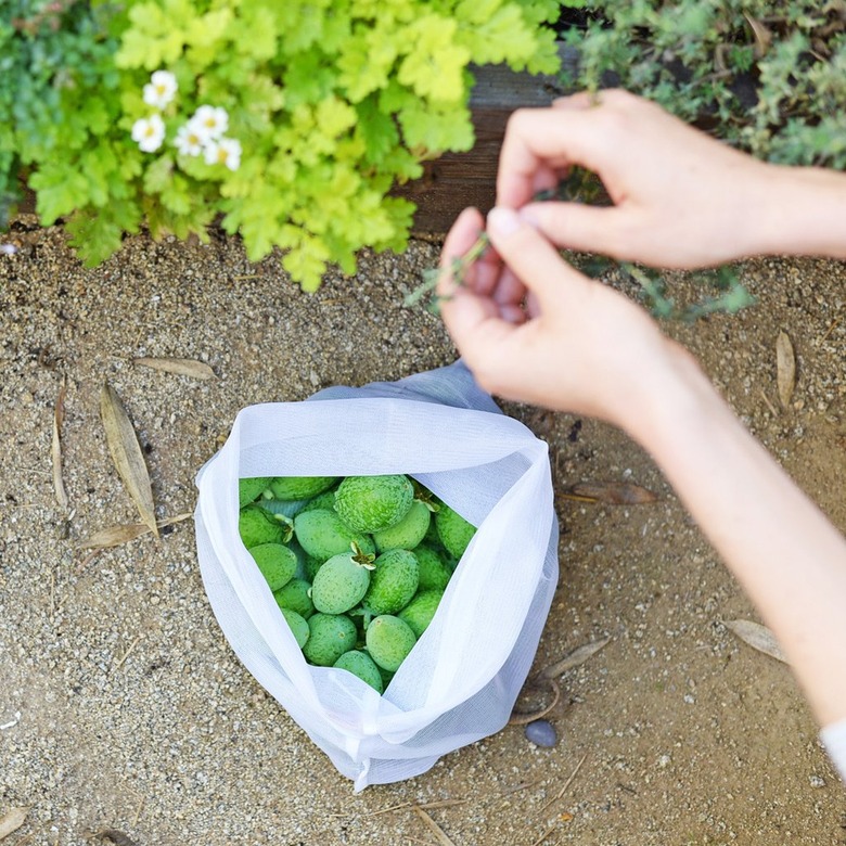 reusable produce bag