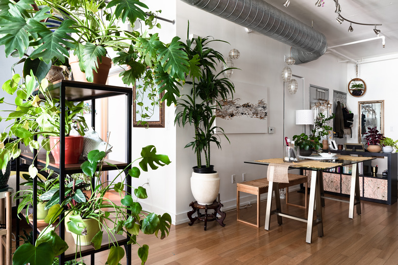 work room with wood floors and overflowing with plants