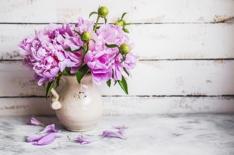 Peonies on rustic wooden background